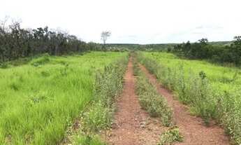 Imagem: .Uma excelente Fazenda 85 alqueires 58 km