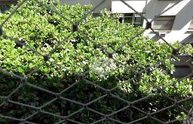 Imagem 3: Apartamento com 2 dormitórios para alugar, 85 m² por R$ 2.600,00/mês - Flamengo - Rio de J