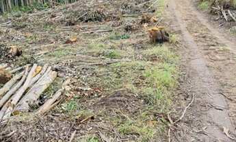 Imagem 4: Aqui está seu terreno do sonho!