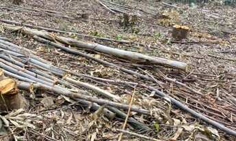 Imagem 2: Lançamento lotes plainos para você. 2500 metros quadrados em Centro - Salesópolis - SP