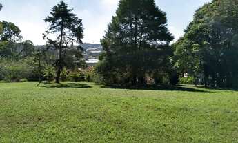 Imagem 2: Terreno à venda na avenida principal Rodolfo Castelli na região do Putim