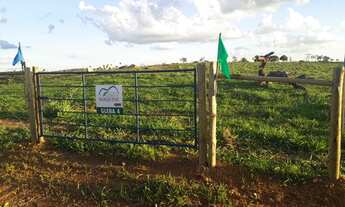 Imagem 7: FAZENDINHAS frente cercada e porteira
