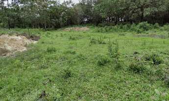 Imagem 2: FAZENDINHAS RURAIS em Fortuna de Minas