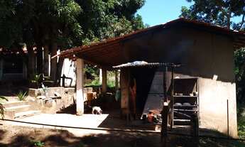 Imagem 5: Chácara em Abrantes