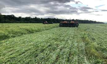 Imagem 7: Fazemda entre Água Boa e Cocalinho - MT