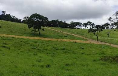 Imagem 4: Lote/Terreno para venda possui 500 metros quadrados em Parque São George - Cotia - SP