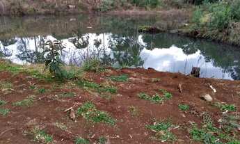 Imagem 3: SITIO Chácara com venda por R$1