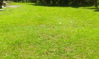 Imagem 7: Juquitiba - Chácara - Miracatu