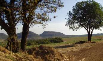 Imagem 3: FAZENDA - 325,67 HECTARES - CAJURU/SP