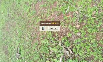 Imagem 3: Fazenda Extra município General Carneiro MT - Área de 102 Alqueires !