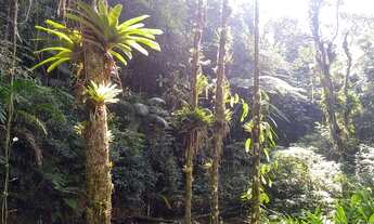 Imagem 5: Sítio Chácara com venda por R$210.000