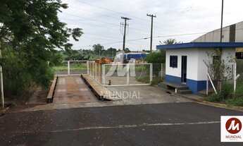 Imagem: Salão/Galpão (salão - térreo