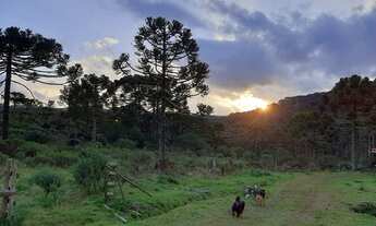 Imagem 2: Fazenda/Sítio/Chácara para venda com 360000 metros quadrados com 5 quartos em Centro - Uru