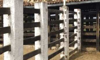 Imagem 4: IBIQUERA - RURAL - IBIQUERA