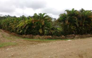 Imagem 2: Terreno de esquina para chácara com 3.000m² em Peruíbe