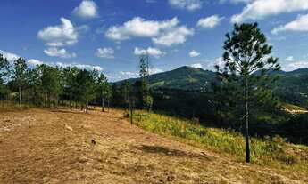 Imagem 6: 03m-Vendo lote em área rural##