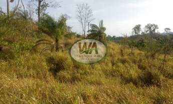 Imagem 5: Fazenda com preço de oportunidade em Recursolândia- TO