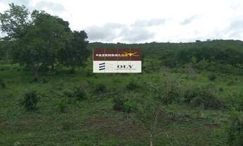 Imagem 2: Fazenda Extra município General Carneiro MT - Área de 102 Alqueires !