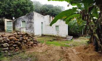 Imagem 2: Terreno em triunfo 23x40m