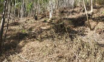 Imagem 4: Terreno para chácara em ibiúna