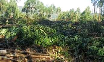 Imagem 7: Lote/Terreno para venda com 2500 metros quadrados em aterrado - Salesópolis - São Paulo