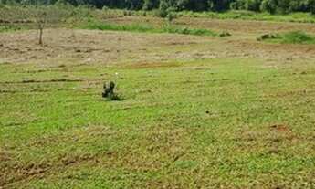 Imagem 6: 01Lote/Terreno para venda com 1000 metros quadrados com 1 quarto em Recanto das Águas - Ig