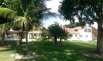 Imagem 7: VENDO EXCELENTE SÍTIO KM 47, AM-010