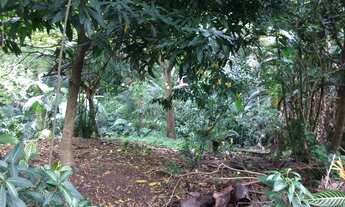 Imagem 5: São Paulo - Terreno Padrão - Morumbi