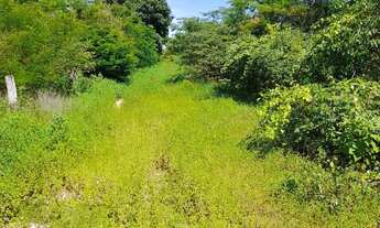 Imagem 4: Vendo terreno na estrada da produção