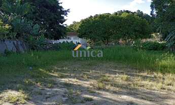 Imagem 7: Terreno - Joinville