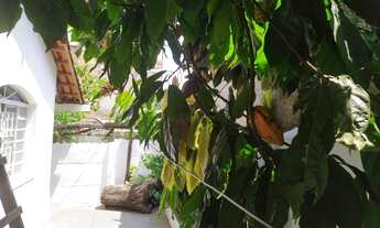 Imagem 5: Casa com 3 dormitórios à venda em Belo Horizonte