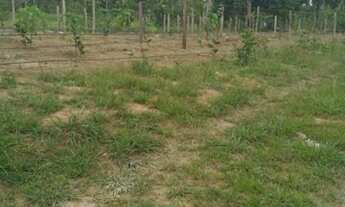 Imagem 4: Venda de sitio Chácara com venda por R$70.000