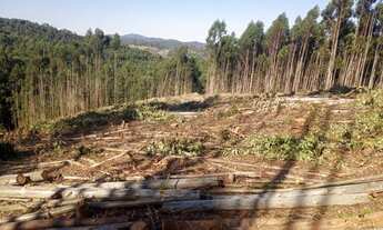 Imagem 5: Chácaras para venda tem 2500 metros quadrados com 3 quartos