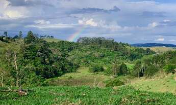 Imagem: Lote/Terreno para venda possui 600 metros