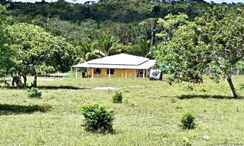 Imagem 5: Sitio com 40.000m² em Barra de pojuca- Porteira Fechada