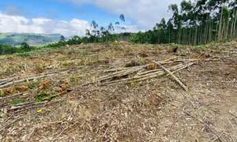 Imagem: D7- Terrenos de 20mil de entrada