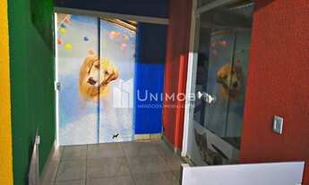 Imagem 5: Ponto comercial - Cambuí - Campinas