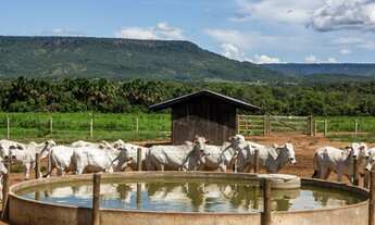 Imagem: AG- Fazenda Entrada R$16.000,00