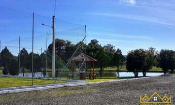 Imagem 4: Sítio / Chácara para Venda em Santa Maria do Herval, Canto Becker, 2 dormitórios, 3 banhei