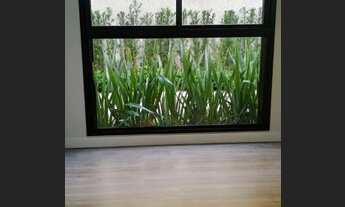 Imagem 5: FLORIANóPOLIS - Padrão - Coqueiros