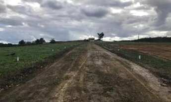 Imagem: Vendo lote em Salgado,no povoado Bom Jesus