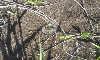 Imagem 5: Fazenda em terras de cultura ótimas para pecuária