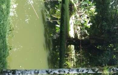 Imagem 3: Sítio Chácara com venda por R$210.000