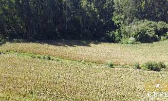 Imagem 5: Sítio / Chácara para Venda em Santa Maria do Herval, Padre Eterno Ilges