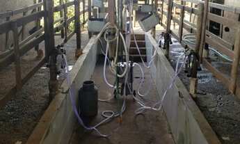 Imagem 5: Fazenda/Sítio/Chácara para venda tem 999 metros quadrados com 3 quartos