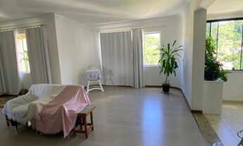 Imagem 6: Amplo apartamento, bairro da Velha!