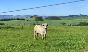 Imagem 7: Serra Azul - Fazenda - .serra Azul