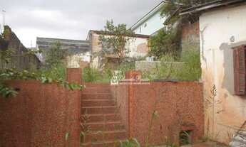 Imagem 2: Terreno 500 metros Vila Rosália