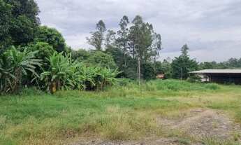 Imagem 2: Galpão - Santa Cecília - Paulínia