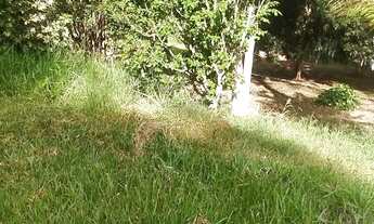 Imagem 5: BARãO DE COCAIS - Sítio - Zona Rural